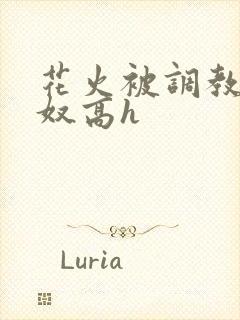 花火被调教成肉奴高h