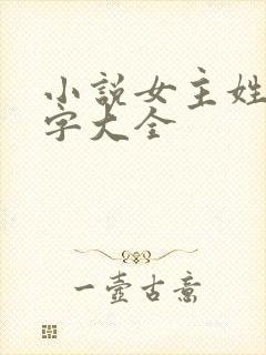 小说女主姓林名字大全