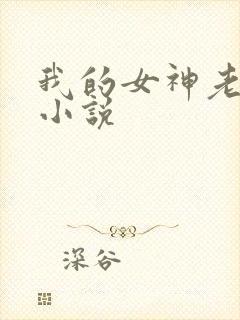 我的女神老婆 小说