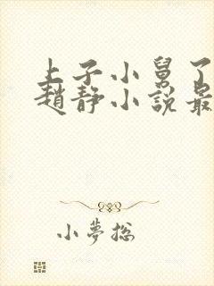 上子小舅了老婆赵静小说最新章节封面