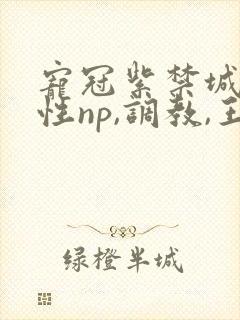 宠冠紫禁城(双性np,调教,王爷总受