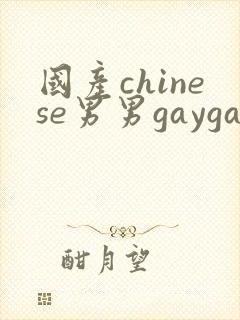 国产chinese男男gaygay网站下载