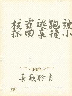 校霸逃跑被学霸抓回来后小说