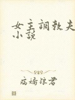 女主调教夫妻奴小说封面