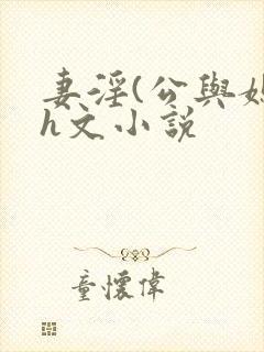 妻淫(公与媳)h文小说
