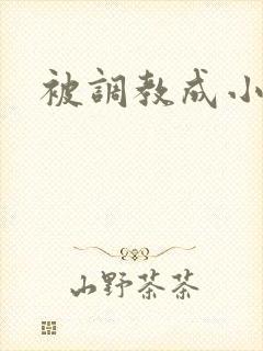 被调教成小骚货