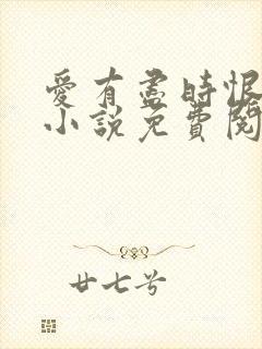 爱有尽时恨无期小说免费阅读