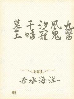 慕千汐凰九夜邪王嗜宠鬼医狂妃无弹窗