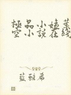 极品小姨叶凡司空小说在线阅读全文