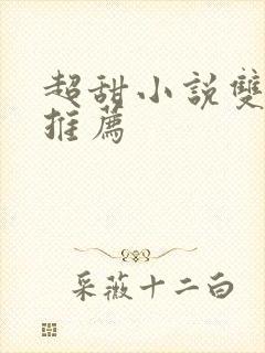 超甜小说双男主推荐