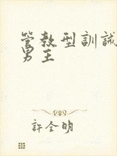 管教型训诫文双男主