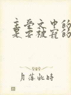 主受文中的攻也是要被宠的