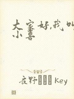 大家好,我叫林小喜