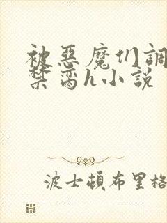 被恶魔们调教成禁脔h小说