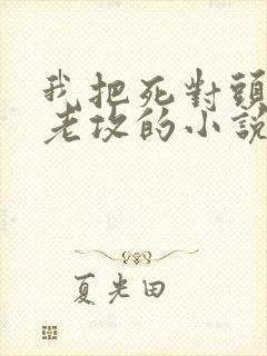 我把死对头养成老攻的小说