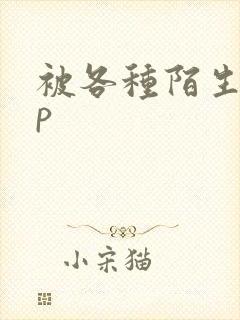 被各种陌生人np