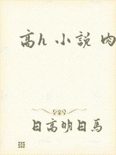 高h 小说 肉封面