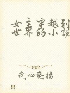 女主穿越到动漫世界的小说