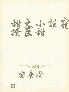 甜文小说宠文巨撩巨甜封面