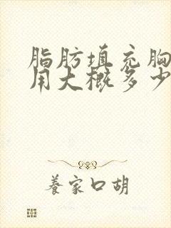 脂肪填充胸部费用大概多少钱