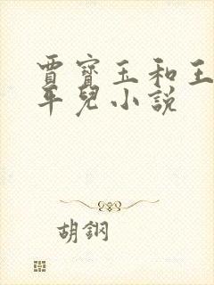 贾宝玉和王熙凤平儿小说