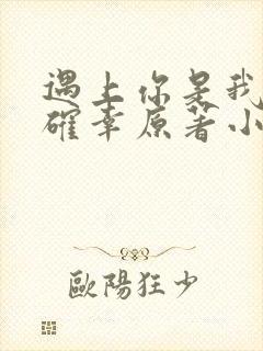 遇上你是我的小确幸原著小说