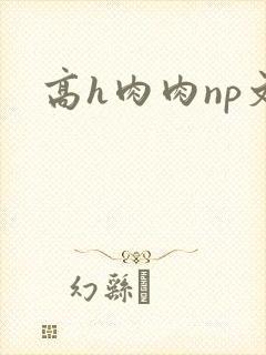 高h肉肉np文