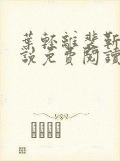 叶轻离裴靳墨小说免费阅读笔趣阁封面