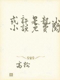 或许是龙小姐吗小说免费阅读封面