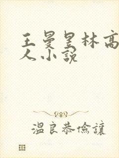 王曼昱林高远同人小说