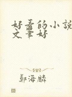 好看的小说言情文笔好