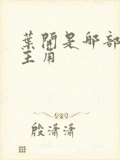 叶开是哪部小说主角封面