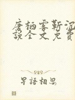 唐栖雾靳沉野小说全文免费阅读