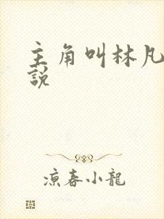 主角叫林凡的小说