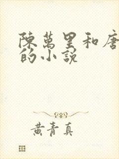 陈万里和唐嫣然的小说