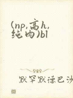 (np,高h,纯肉)bl