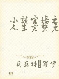 小说官场之风流人生完整免费阅读封面