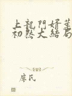 上龙门婿叶辰萧初然大结局封面