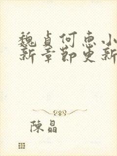 魏贞何惠小说最新章节更新小说下载封面