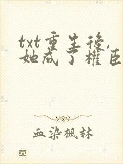 txt重生后,她成了权臣黑月光下载