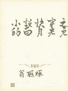 小说快穿之病娇的白月光免费看