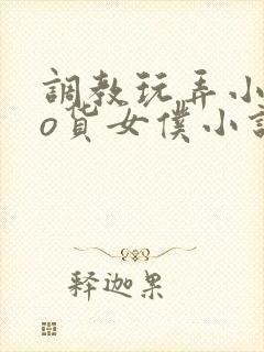 调教玩弄小sao货女仆小说封面