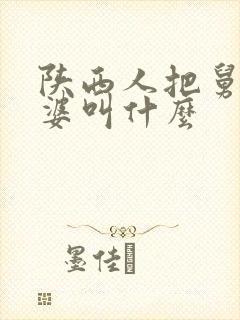 陕西人把舅舅老婆叫什么