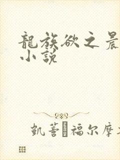 龙族欲之晨曦的小说