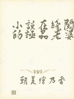 小说在线阅读我的极品老婆封面