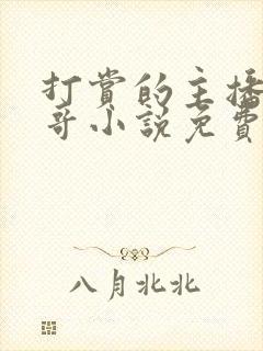 打赏的主播是哥哥小说免费阅读封面