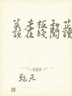 菜老板和芷姗小说在线阅读封面