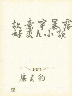 故意穿暴露被强好爽h小说