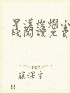 星汉灿烂小说在线阅读免费