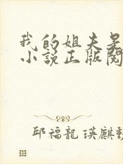 我的姐夫是太子小说正版阅读